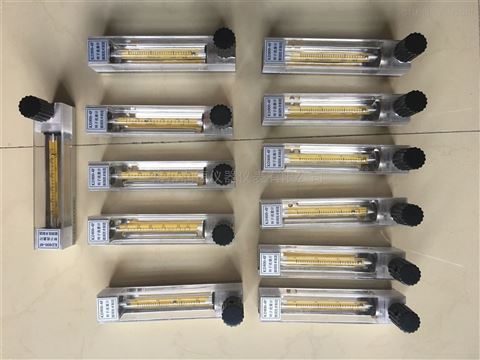 DK800-4玻璃轉子流量計NPT